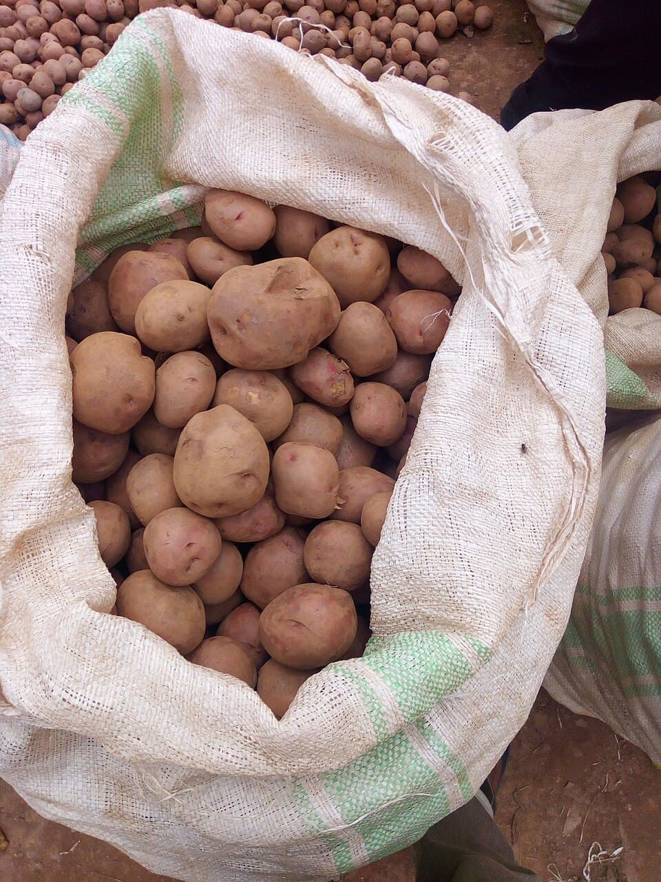 আলু
