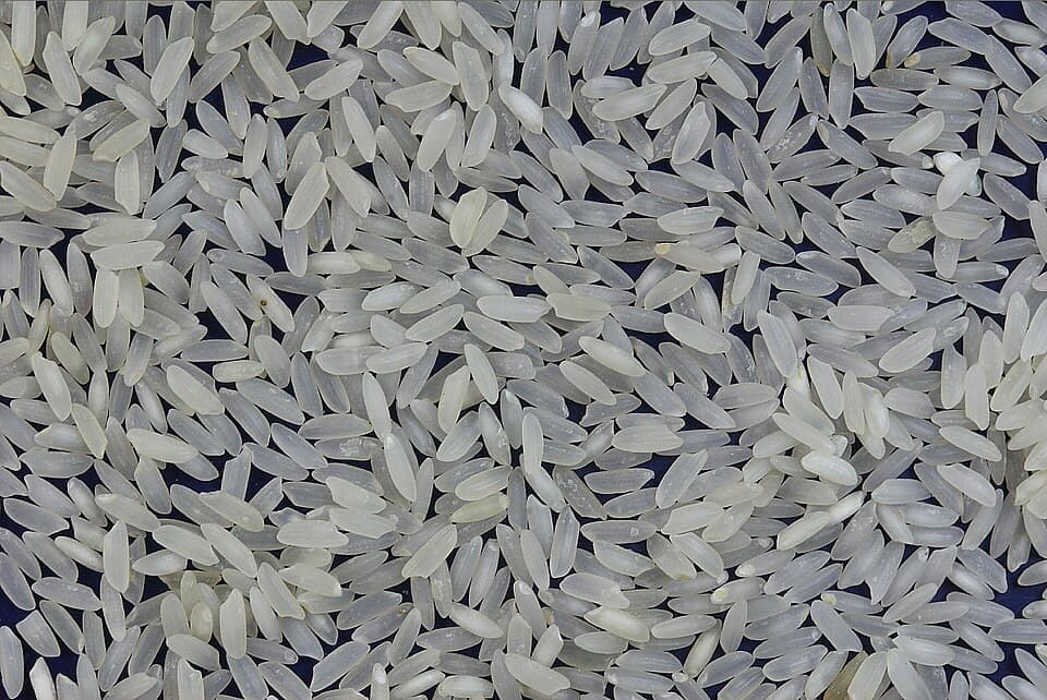 চাল