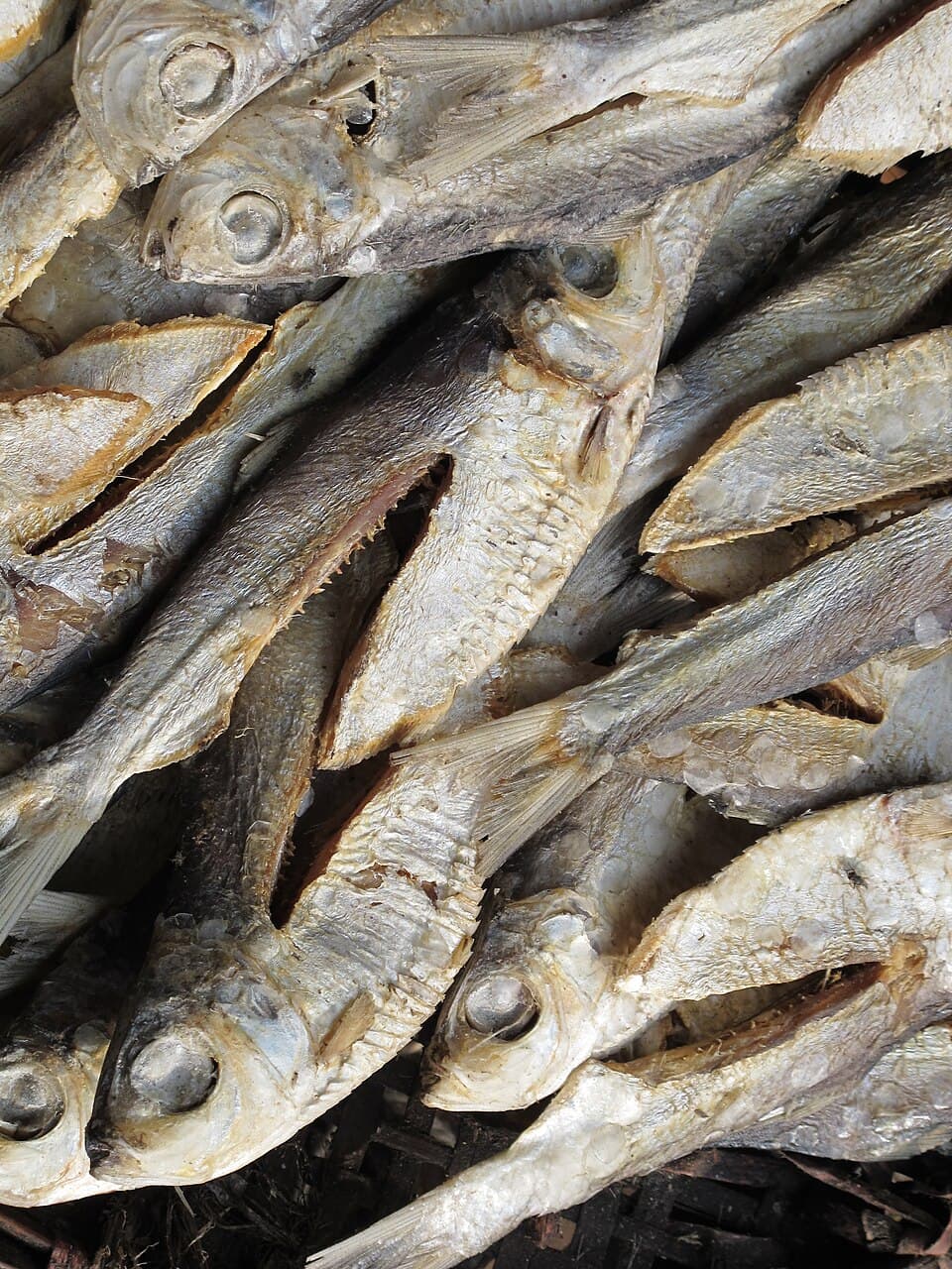 শুঁটকি